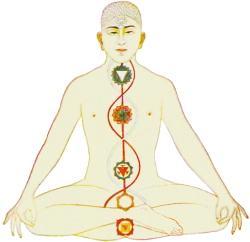 chakras